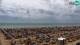 Bibione 12.07.2025 13:28