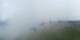 Prarion 07.07.2025 13:19