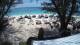 West Bay 08.05.2025 13:29