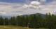 Folgaria 02.07.2025 13:29