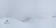 Bellwald 08.05.2025 13:22