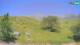 Kobarid 15.06.2025 13:30