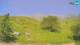Kobarid 08.06.2025 13:30