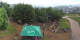 Eibenstock 09.07.2025 13:30