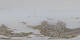 St. Moritz 09.05.2025 13:29