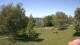 Steinbrunn 30.04.2025 13:31