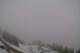 Kitzbuhel 19.03.2025 13:31
