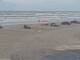 Corpus Christi, Texas 01.07.2025 13:30