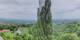 Kitzeck im Sausal 25.04.2025 13:31