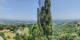 Kitzeck im Sausal 15.06.2025 13:30