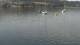Uster 15.06.2025 13:49