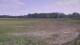 Les Landes-Genusson 01.06.2025 13:31