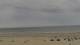 Zandvoort 14.07.2025 13:33