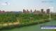 Chengde 09.06.2025 13:31