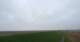 Westerhever 20.01.2025 13:33