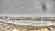 Le Conquet 30.04.2025 13:27