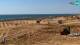 Bibione 01.05.2025 13:32