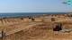Bibione 29.04.2025 13:32