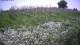 Marsiglia 29.04.2025 13:33