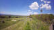 Schotten 30.04.2025 13:32