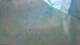 Hofgeismar 15.06.2025 13:32