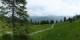Luchsingen 15.06.2025 13:31