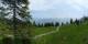 Luchsingen 08.06.2025 13:31