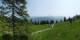 Luchsingen 09.06.2025 13:31