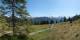 Luchsingen 29.04.2025 13:31