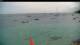 Les Anses-d'Arlet 20.04.2025 13:37