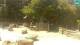 Zagreb 15.06.2025 13:32