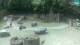 Zagreb 08.05.2025 13:33