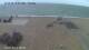 Pagham 15.07.2025 13:34