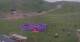 Kuzun 09.07.2025 13:33