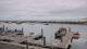 Port-en-Bessin-Huppain 27.06.2025 13:33