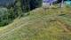 Kranjska Gora 04.08.2026 13:33