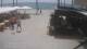 Torrevieja 14.06.2025 13:34