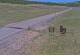 Creede, Colorado 14.06.2025 13:36