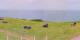 Donville-les-Bains 01.05.2025 13:11