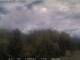 Giamosa 08.07.2025 13:35
