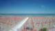 Tortoreto Lido 27.05.2025 13:49