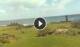 Hanga Roa (Easter Island) 08.07.2025 13:50