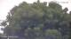Nigran 08.06.2025 13:50