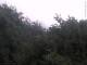 Herdecke 08.06.2025 13:50