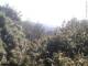 Herdecke 10.05.2025 13:50