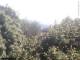 Herdecke 18.04.2025 13:50