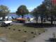 Tönning 08.05.2025 13:50