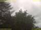 Nettetal 11.07.2025 13:50