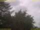 Nettetal 12.07.2025 13:50