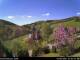 Diedenshausen (Bad Berleburg) 30.04.2025 13:51